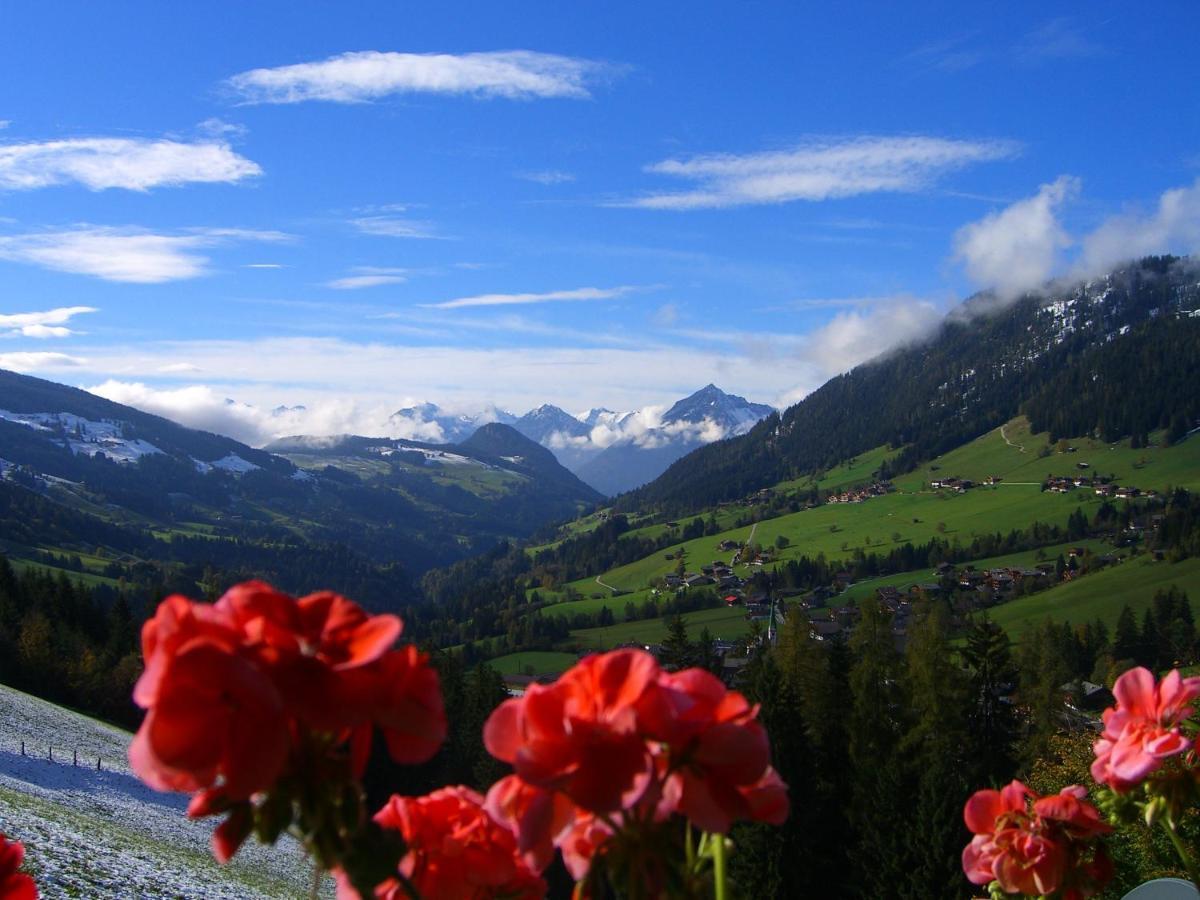 Kaiserhof Alpbach Luaran gambar